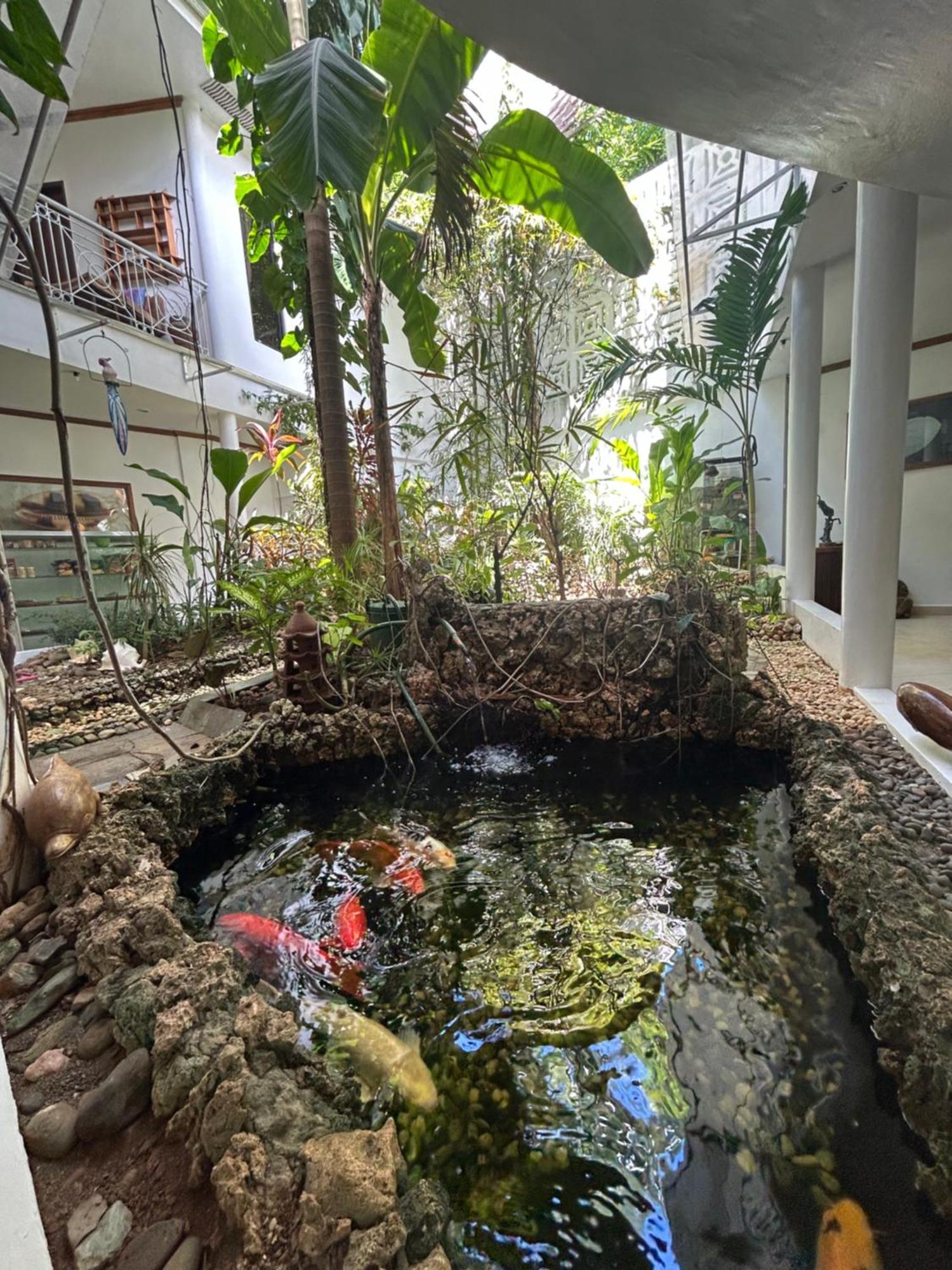 Argonauta Boracay Apartment Suites And Villas Boracay Island Exterior foto